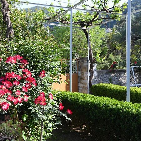 Art Flowers And Culture Mystras Bagian luar foto