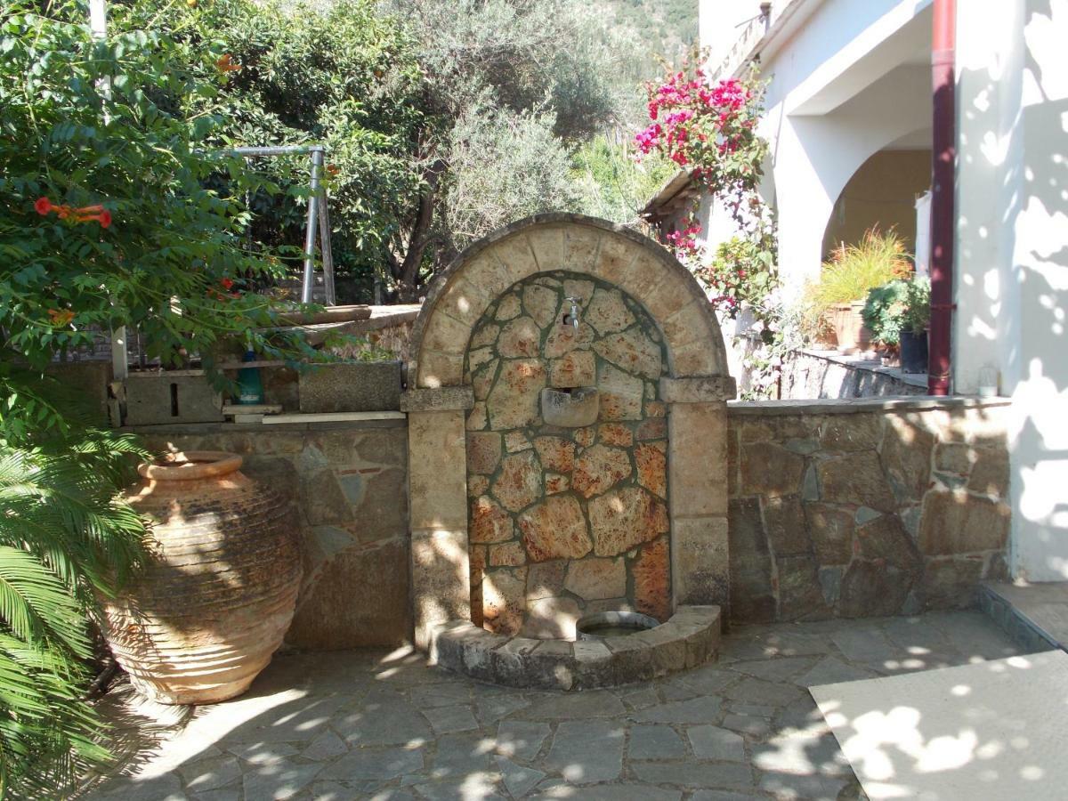 Art Flowers And Culture Mystras Bagian luar foto