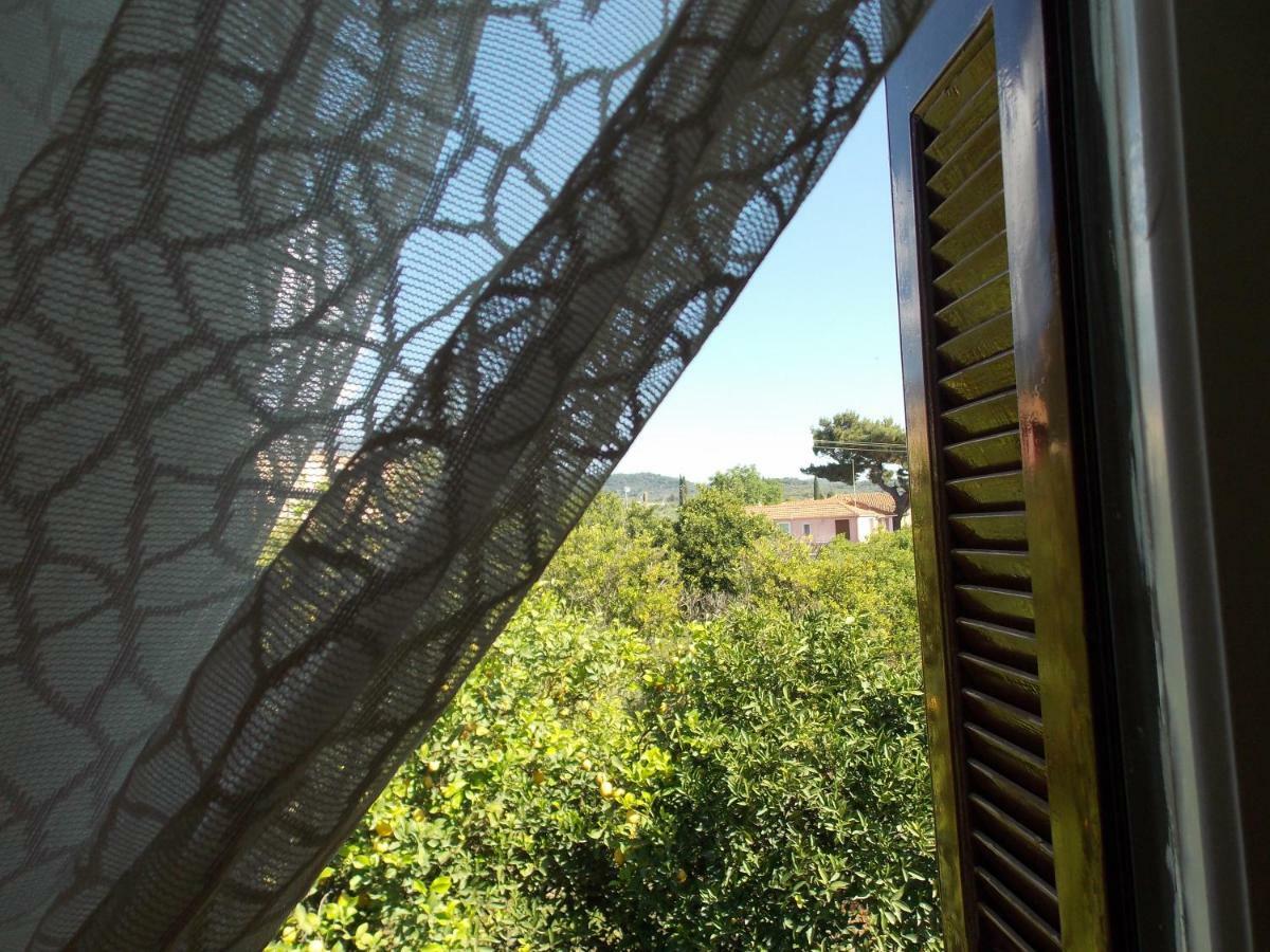 Art Flowers And Culture Mystras Bagian luar foto