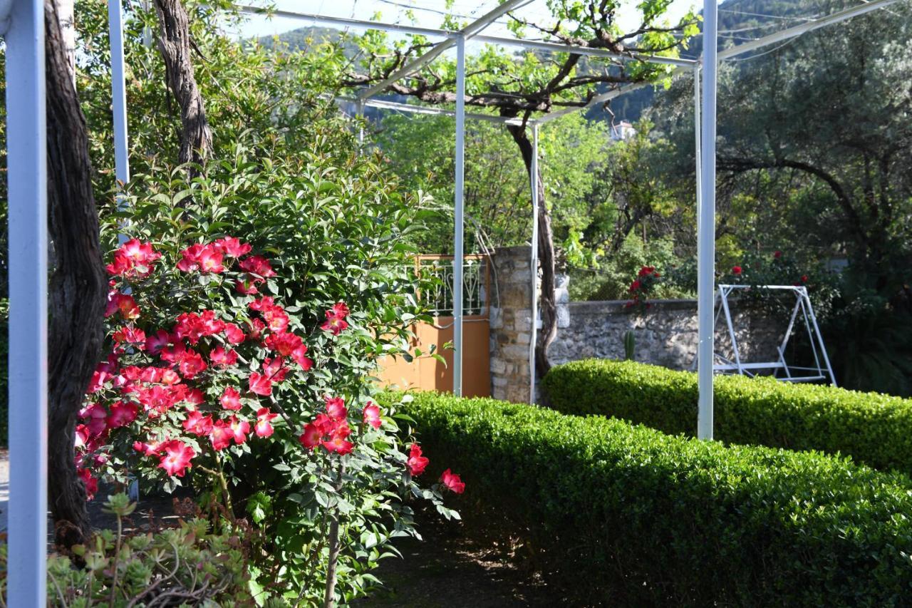Art Flowers And Culture Mystras Bagian luar foto